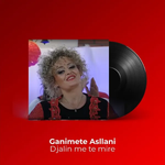 Ganimete Asllani - Djalin Më Të Mirë