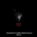 PanchoCity & INO - Pllug