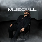 Alis Kallaçi - Mjegull