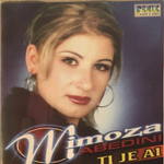 Ti Je Ai (2003) - Mimoza Abedini