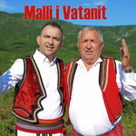 Leonard Pjetri & Mark Pjetri - Malli I Vatanit