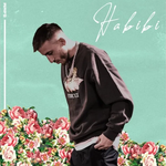 S4MM - Habibi