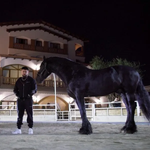 Noizy - Icon Video