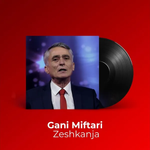 Gani Miftari - Zeshakanës