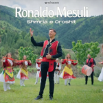 Ronaldo Mesuli - Shmria E Oroshit Video