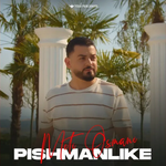 Meti Osmani - Pishmanlike