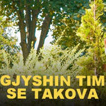 Sabur Jakupi - Gjyshin Tim S'e Takova music video