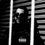 Reealt - P.M.