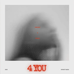 Cricket & Gesko - 4 You