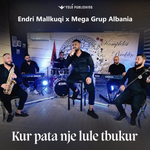 Endri Mallkuqi - Kur Pata Një Lule T'bukur