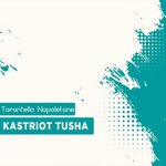 Kastriot Tusha - Tarantella Napoletane