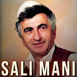 Ndue Shytani & Fran Kodra - Këngë Për Sali Manin