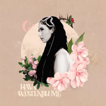 Hava - Wüstenblume
