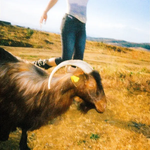 Sahati - Për Kon