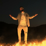 Driton Shala - Dashni E Ndaluar