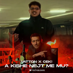 Valton Berisha & Cek! - A Kishe Nejt Me Mu?