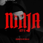 Key K - Ninja
