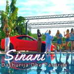 Ajet Sinani - Dashurija Dhe Pasurija