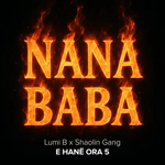 Lumi B & Shaolin Gang - Nana Baba