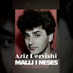 Aziz Dervishi - Malli I Nënës