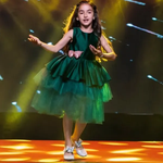 Ergisa Hajdinaj