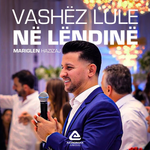 Mariglen Hazizaj - Vashëz Lule Në Lëndinë
