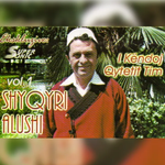 I Kendoj Qytetit Tim (Vol.1) - Shyqyri Alushi