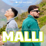Ervin Qerimi & Mevlan Shaba - Malli
