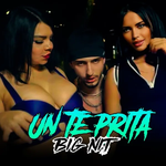Big Nit - Un Të Prita