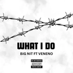 Big Nit - What I Do