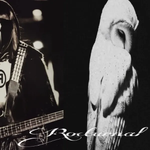 Rrzart Bega - Nocturn