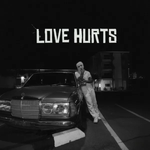 Love Hurts (2025) - Dujanen