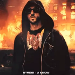 Stresi - U Know music video