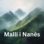 SYNVO - Malli I Nanës