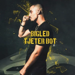 Bigled - Tjeter Bot