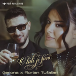 Gerona ft. Florian Tufallari - O Lali Je Funi music video