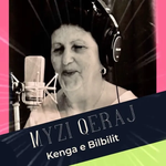 Myzi Qeraj - Kënga E Bilbilit