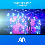 Pellumb Vrinca - Sa Mëkat
