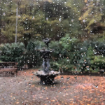 Artist's Collection (2024) - Trimor Dhomi