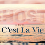 Big Nit - C'est La Vie