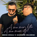 Bekim Zogaj & Gazmend Kelmendi - A Ma Mirë Këtu, A Ma Mirë Atje?