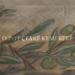 Lirik Isufi - O Zot Çfarë Kemi Bërë