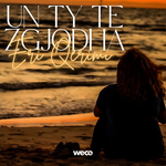 Eri Qerimi - Un Ty Të Zgjodha