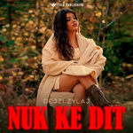 Dejzi Zylaj - Nuk Ke Dit