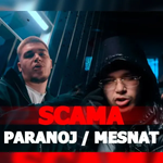 Paranoj / Mesnat (2025) - Scama