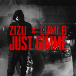 Zizu & Lumi B - Just Gimme music video