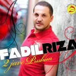 Fadil Riza - 2 Jave Pushim (2013)