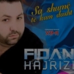 Fidan Hajrizi - Sa Shum Te Kam Dasht (2013)