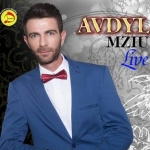 Avdyl Mziu - Live 2016 (2016)