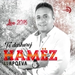 Hamez Llapqeva - Te Dashuroj (2016)